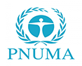 PNUMA
