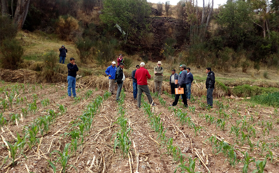 Acciones de mitigación para combatir el carbono negro por la quema en el sector agrícola
