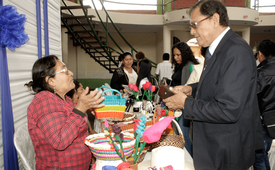 Reinforcing Innovative Mechanisms for Arising Capacities in Disaster Risk Reduction in Rimac (Perú) II